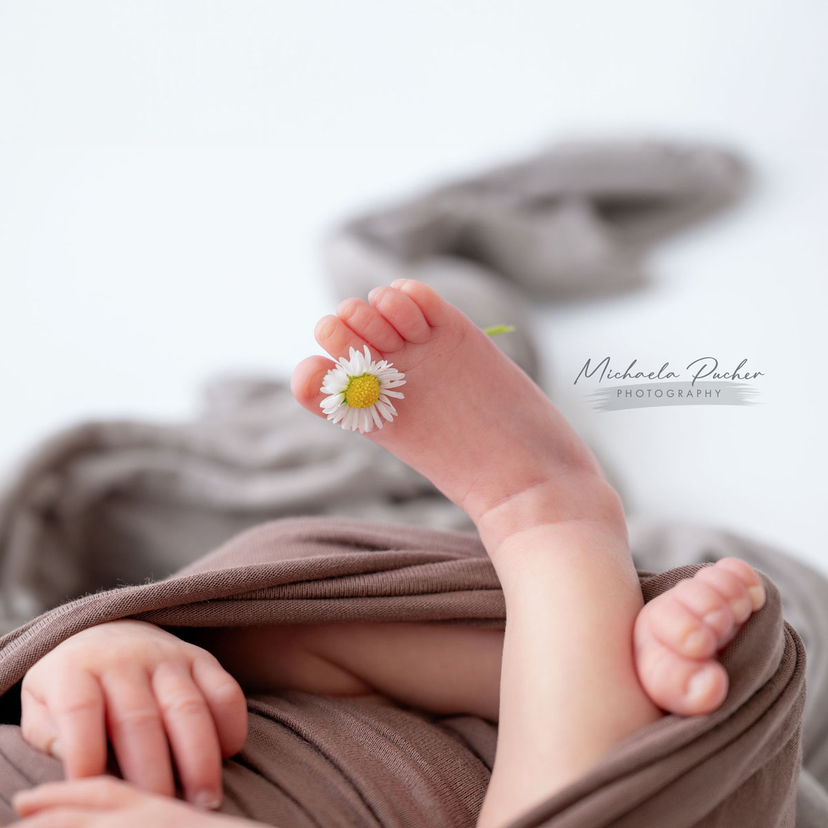 Nahaufnahme eines Neugeborenenfußes, zwischen dessen Zehen ein kleines Gänseblümchen steckt; im Hintergrund weiche, braune Tücher.